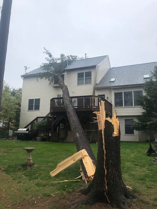 Tema Roofing and Siding Picture 4