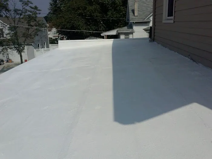 access roofing Picture 1