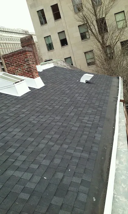 access roofing Picture 3