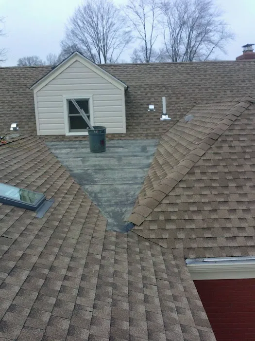 access roofing Picture 2