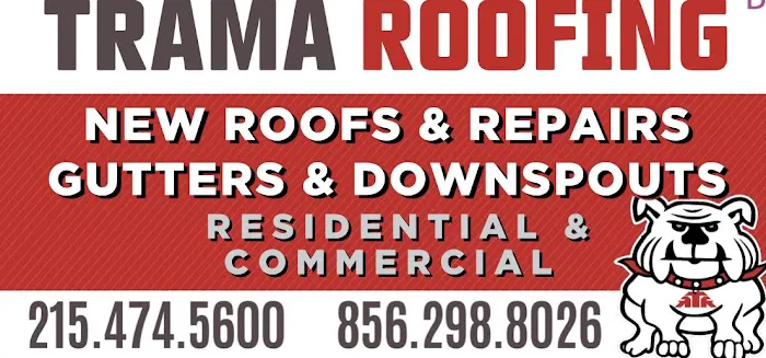 Trama Roofing Picture 7