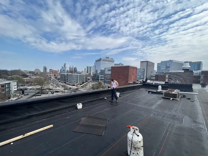 Trama Roofing Picture 2