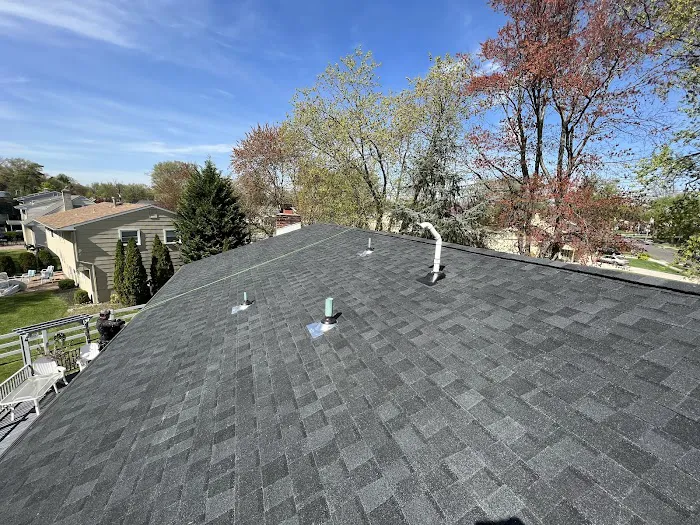 Trama Roofing Picture 6