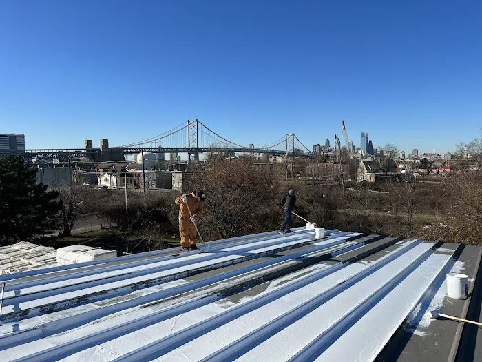 Trama Roofing Picture 4