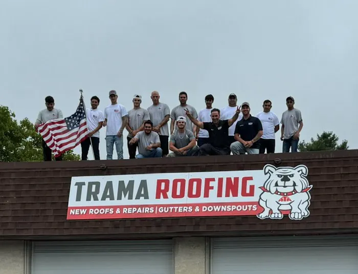 Trama Roofing Picture 3
