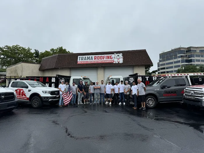 Trama Roofing Picture 1