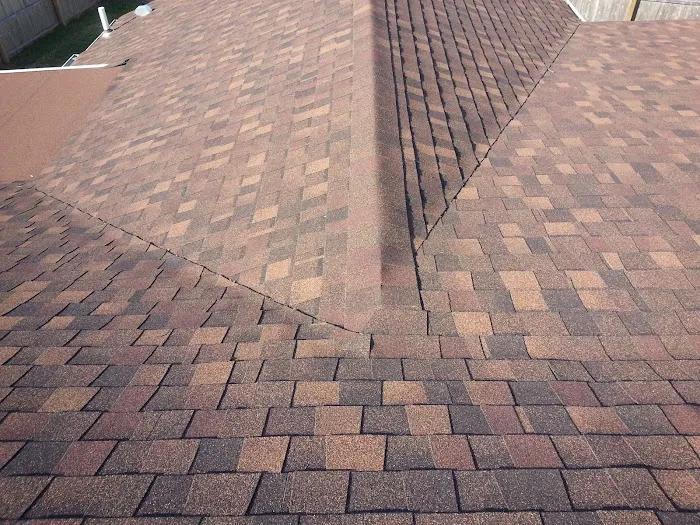 Argentina and Son Roofing Picture 6