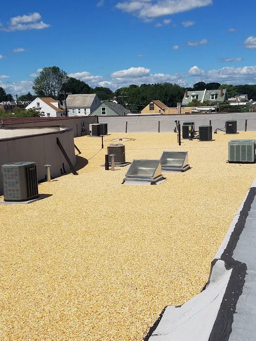 Argentina and Son Roofing Picture 5