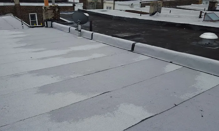 Argentina and Son Roofing Picture 4