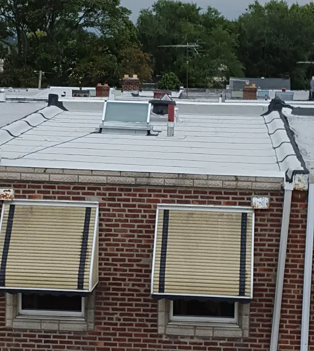 Argentina and Son Roofing Picture 8