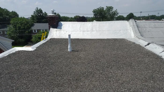 Argentina and Son Roofing Picture 1