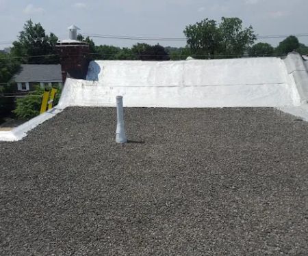 Argentina and Son Roofing