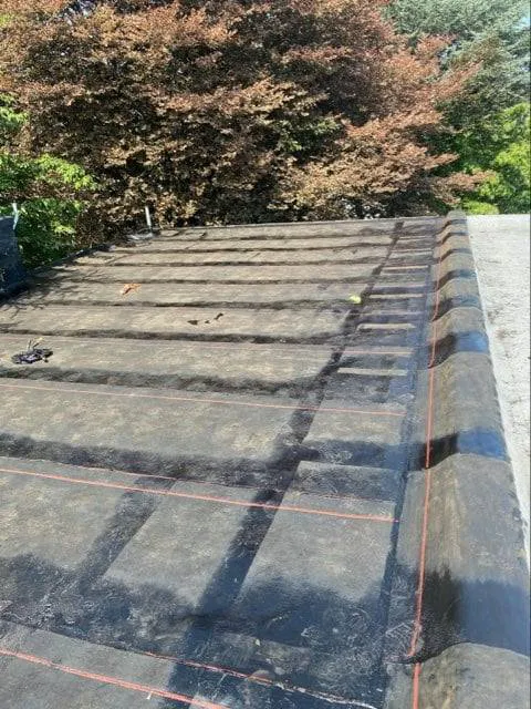 Philadelphia City Roofing Picture 2