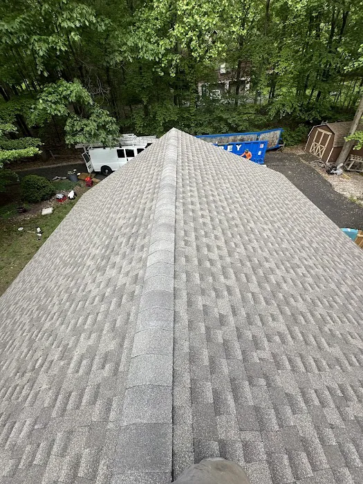 Dsk Roofing Picture 3