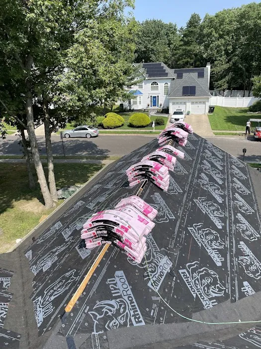 Mighty Dog Roofing of South Jersey Picture 5