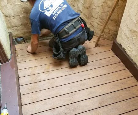 Dynamic Exteriors llc