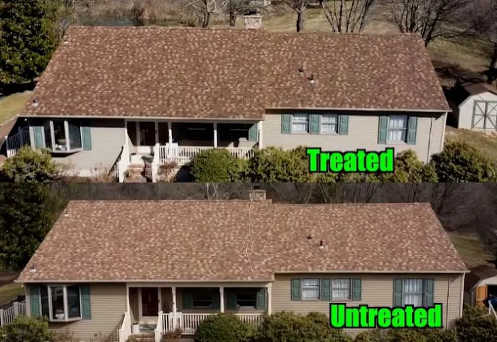 Roof Revivers Picture 3