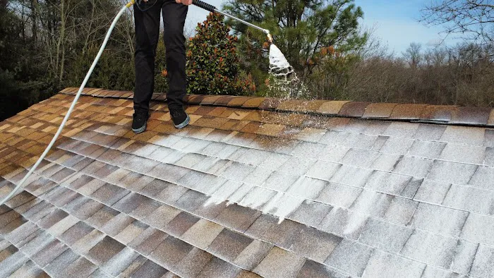 Roof Revivers Picture 4