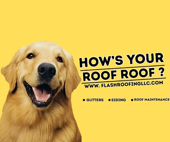 Flash Roofing LLC : PENNSYLVANIA Picture 2