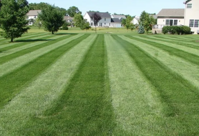 Sharpest Edge Landscaping Picture 1