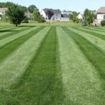 Sharpest Edge Landscaping