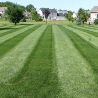 Sharpest Edge Landscaping ico