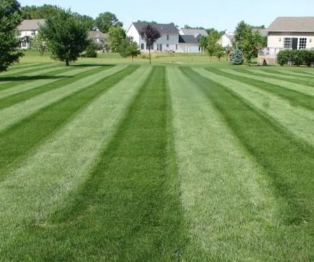 Sharpest Edge Landscaping