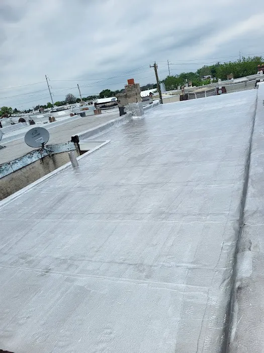 New Generation Roofing Picture 5