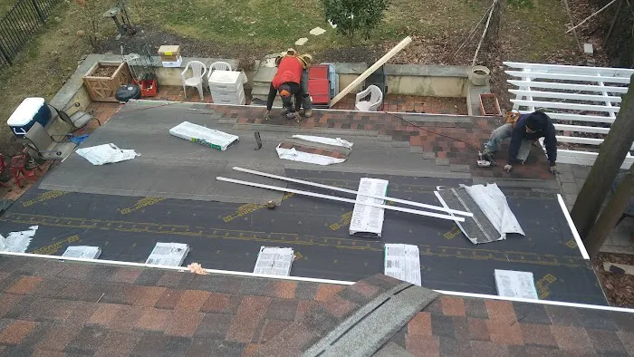 Roof Guard Picture 2