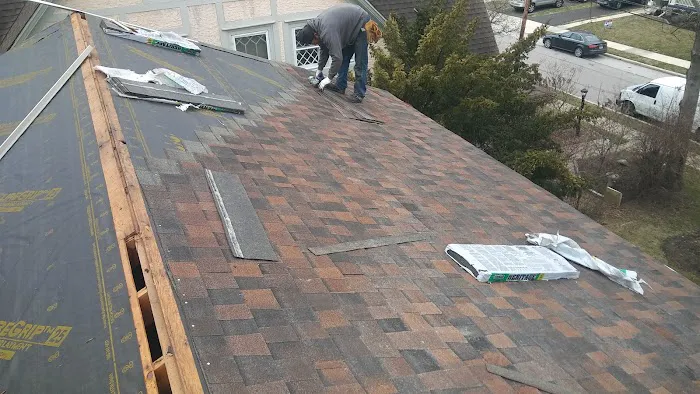 Roof Guard Picture 4