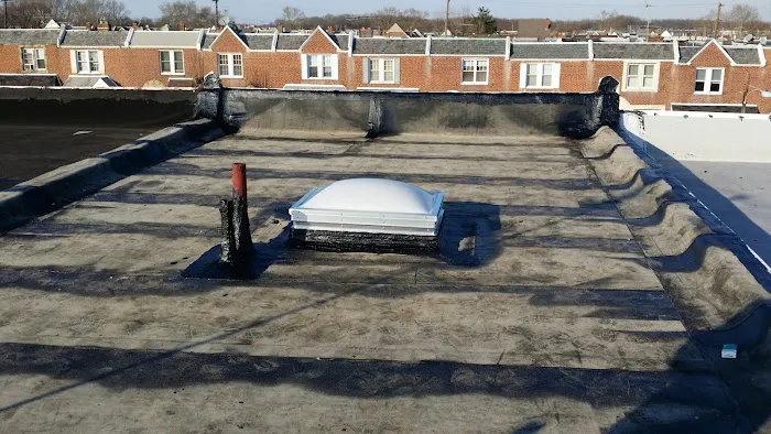 Roof Guard Picture 10