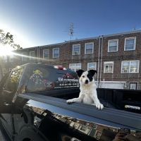 EM Renovations LLC ico