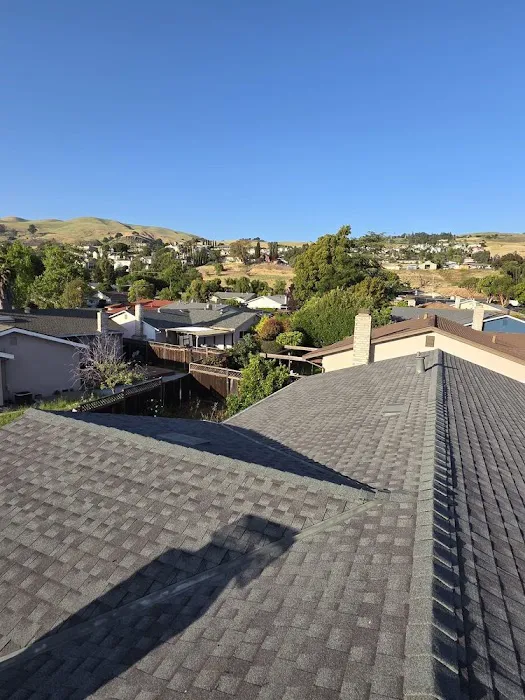 Berman Roof & Leak Repairs Picture 9