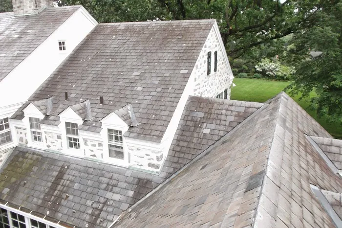 Mastroni Brothers Inc. Picture 1