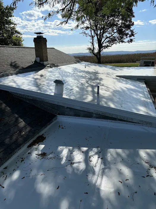 Adam Holencik Exterior Picture 3