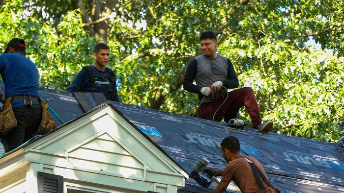 Seal Roofing Picture 2