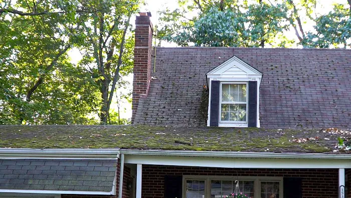 Seal Roofing Picture 6