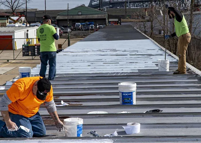 Seal Roofing Picture 8