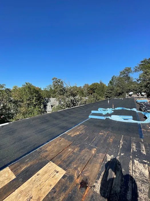 Up On The Roofs Picture 2