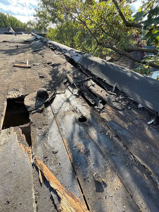 Up On The Roofs Picture 6