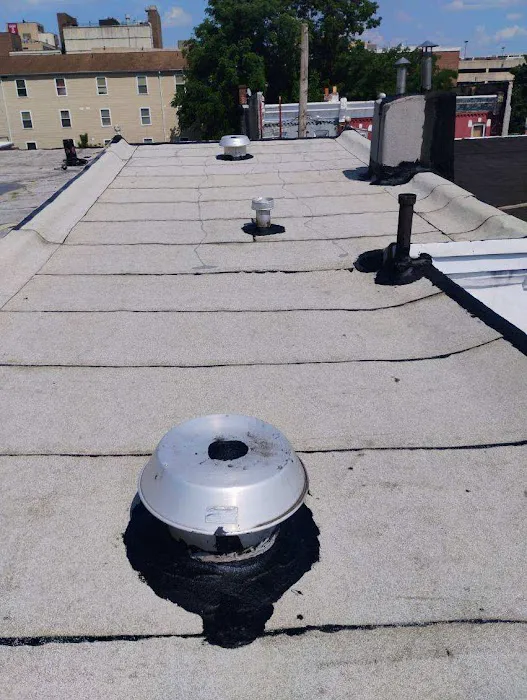 Up On The Roofs Picture 10