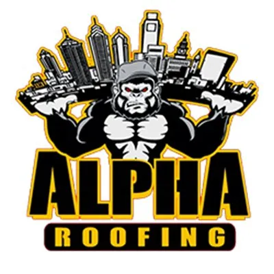 Alpha Roofing and Siding LLC Picture 3