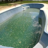 Levi Construction General Contractors, LLC ico