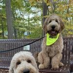 RHI Construction Inc.