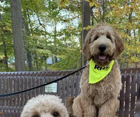 RHI Construction Inc.