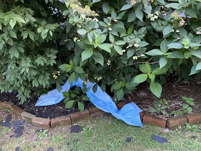 Glick's Exteriors Picture 10