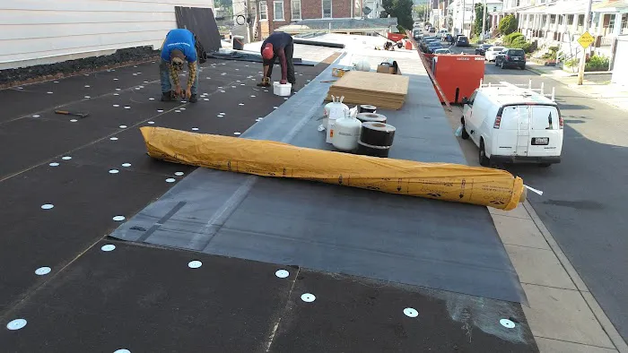 In The Light Roofing Picture 9