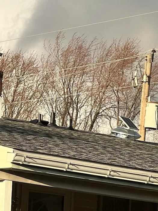 In The Light Roofing Picture 2