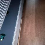 Ole macdonald construction