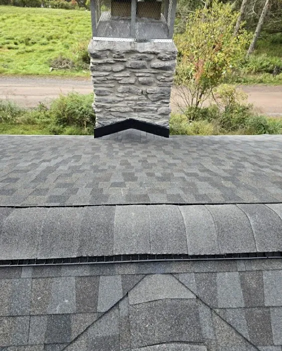 Green Rhino Roofing and Siding Picture 5